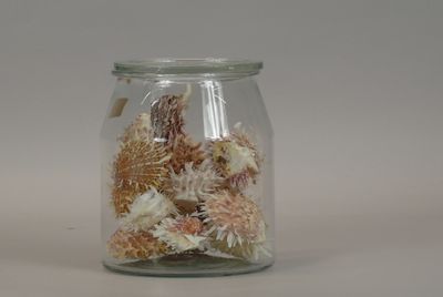 a glass jar filled with sea shells on a table