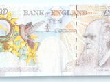 a bank note with a picture of a bird on it