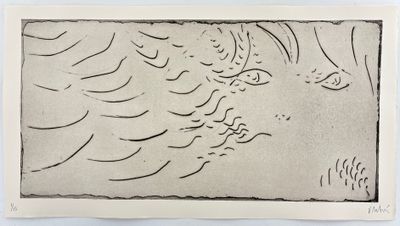 une image représentant un dessin en noir et blanc d'un oiseau en plein vol