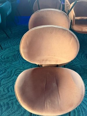 Plusieurs chaises sont alignées en rang sur un tapis bleu