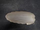 a white shell shaped object on a black surface