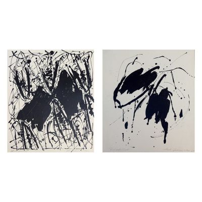 deux peintures en noir et blanc représentant des oiseaux sur fond blanc