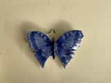un papillon bleu posé sur le mur d'une pièce