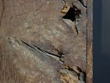 a close up of a piece of wood with a hole in it