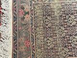 a cat that is sitting on a rug on the floor