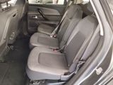 four seats in the back of a car that are empty