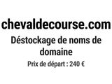 Photo 1/1 du lot