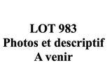 lot 89 : photos et descriptif du projet « Avenir »