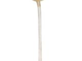 Photo 1/2 du lot