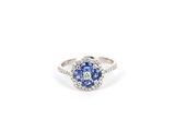 Photo 1/2 du lot