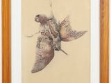 a drawing of a moth on a beige background with a wooden frame
