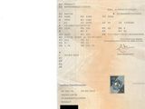 an image of a document with a picture of a cat on it