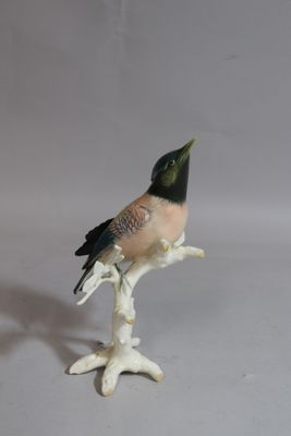 a small bird that is sitting on top of a branch