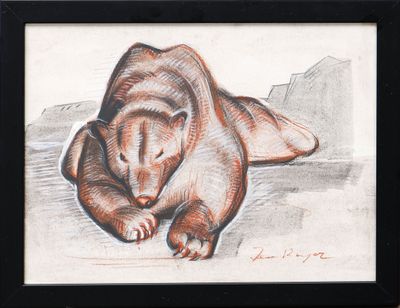dessin représentant un ours allongé par terre, dans un cadre noir