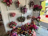 Des fleurs sont disposées sur un mur dans un fleuriste