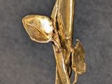 a gold rose on a stem with a leaf on it