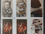 une photo d'un livre avec des photos de personnes dessus