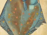 tableau représentant un poisson posé sur une table, avec une plante en arrière-plan