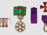 several medals and ribbons are displayed on a white surface