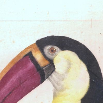 un dessin représentant un toucan au bec jaune