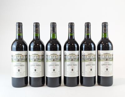 six bouteilles de vin sont alignées sur une surface blanche
