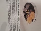 a book with a picture of a plate of food on it