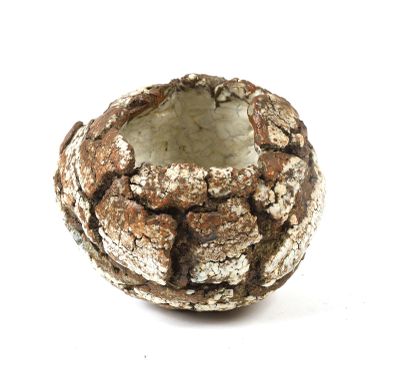 une image montrant un gros plan d'un vase posé sur une surface blanche