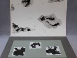 une photo d'une carte sur laquelle figurent un chien et un chat