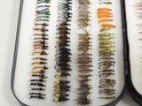 a lot of different types of fly in this case