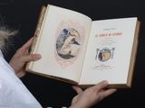 quelqu'un tient un livre sur lequel figure la photo d'une femme