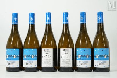 six bouteilles de vin sont alignées sur une surface blanche