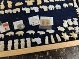 a display of various animal figurines in a display case
