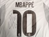 Photo 10/16 du lot
