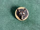 une image représentant une tête d'ours sur un bouton posé sur une surface verte