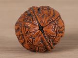 a close up of a nut on a wooden table