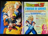 Photo 37/47 du lot