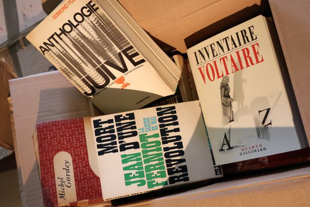 Lot de 4 cartons de livres modernes sur le thème de l’histoire 