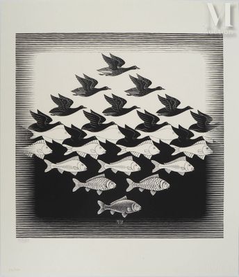 image en noir et blanc représentant un banc de poissons volant au-dessus d'un plan d'eau