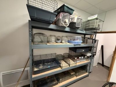 de nombreuses cages sur les étagères de la pièce
