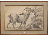 a drawing of a goat standing in front of a river
