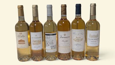 six bouteilles de vin sont alignées sur une surface blanche