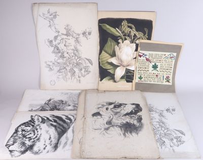 four books with drawings of animals and flowers on them sitting on a table