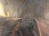a silver plate that has a silver emblem on it