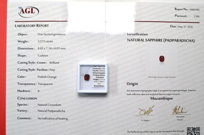 une photo d'un certificat sur laquelle figure un diamant rouge