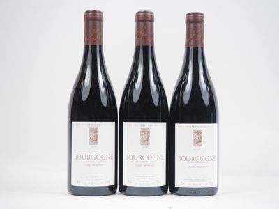 trois bouteilles de vin rouge posées l'une à côté de l'autre sur une surface blanche