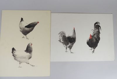 Deux tableaux représentant des poules et des coqs sont accrochés au mur.