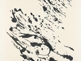 an image of a black and white drawing of a bird