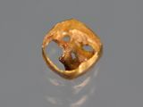 a close up of a gold ring with a hole in it
