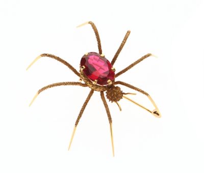 une image représentant une araignée avec une pierre rouge sur le dos