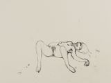 an image of a drawing of a woman laying down on the ground